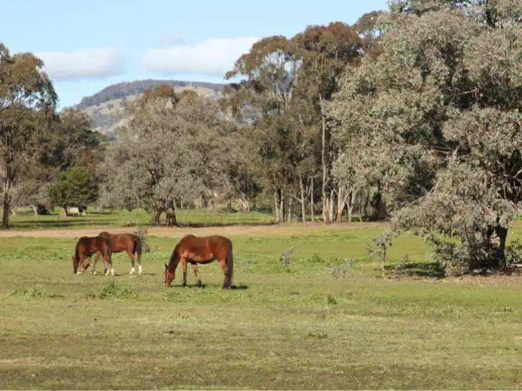 Fifth view of Homely land listing, 73 Murray Street, Violet Town VIC 3669