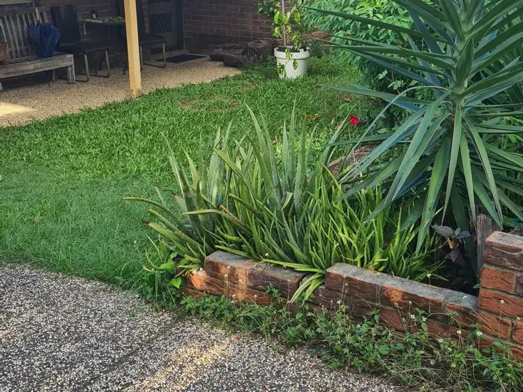 Main view of Homely house listing, 6 Hunt Court, Collingwood Park QLD 4301