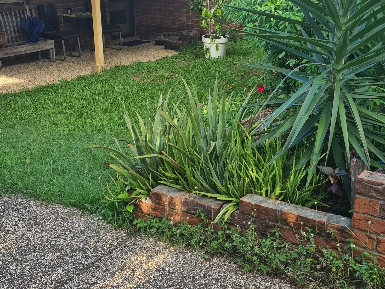 Main view of Homely house listing, 6 Hunt Court, Collingwood Park QLD 4301
