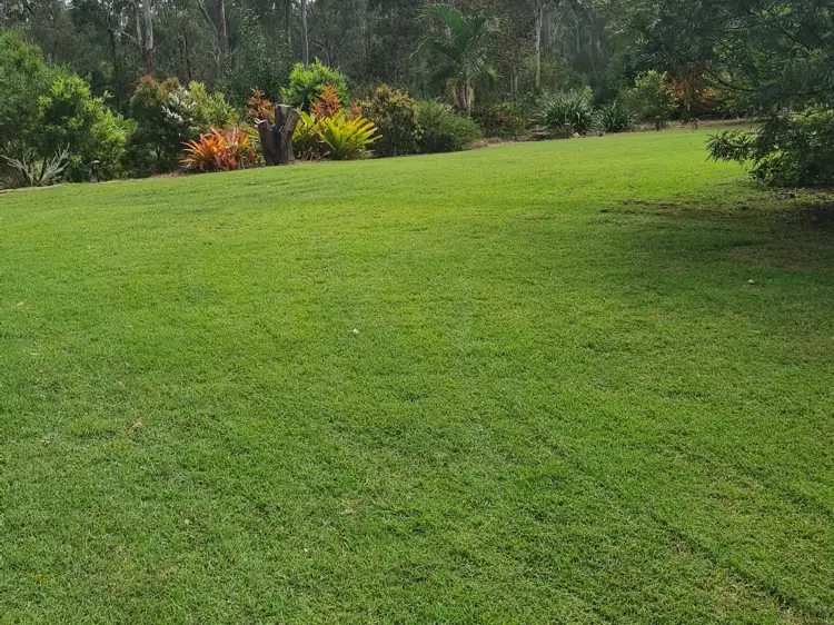 Fifth view of Homely house listing, 133-147 Huth Road, Ironbark QLD 4306