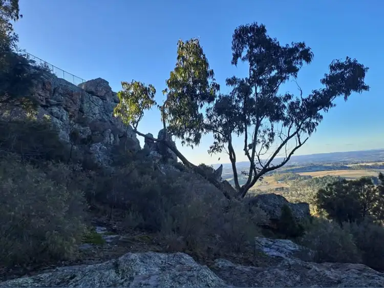 Fifth view of Homely land listing, 49 Oberon Street, Eugowra NSW 2806