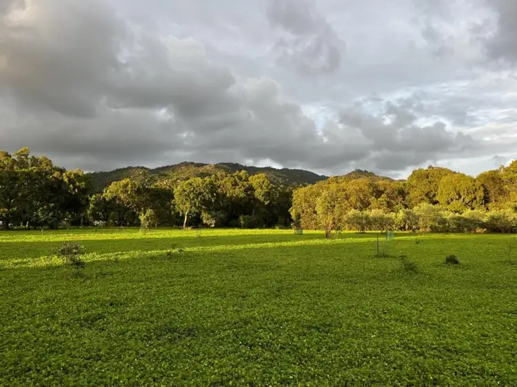 Second view of Homely land listing, 105 Gifford Street, Horseshoe Bay QLD 4819