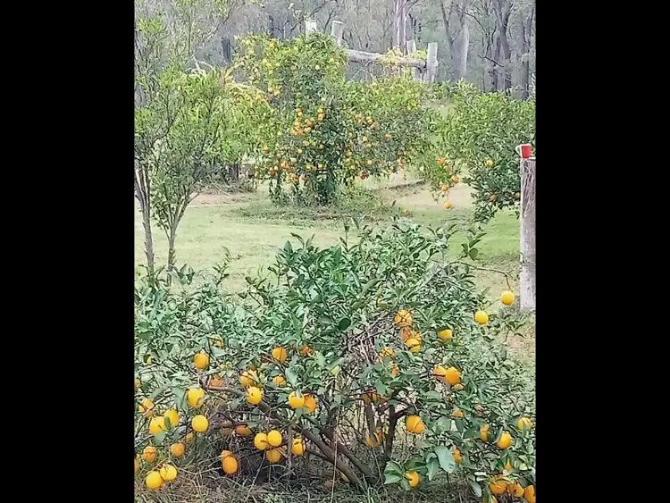 Fourth view of Homely rural property listing, Lot 86 Tralee Road, Pratten QLD 4370
