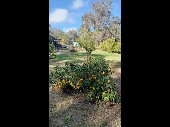 Sixth view of Homely rural property listing, Lot 86 Tralee Road, Pratten QLD 4370