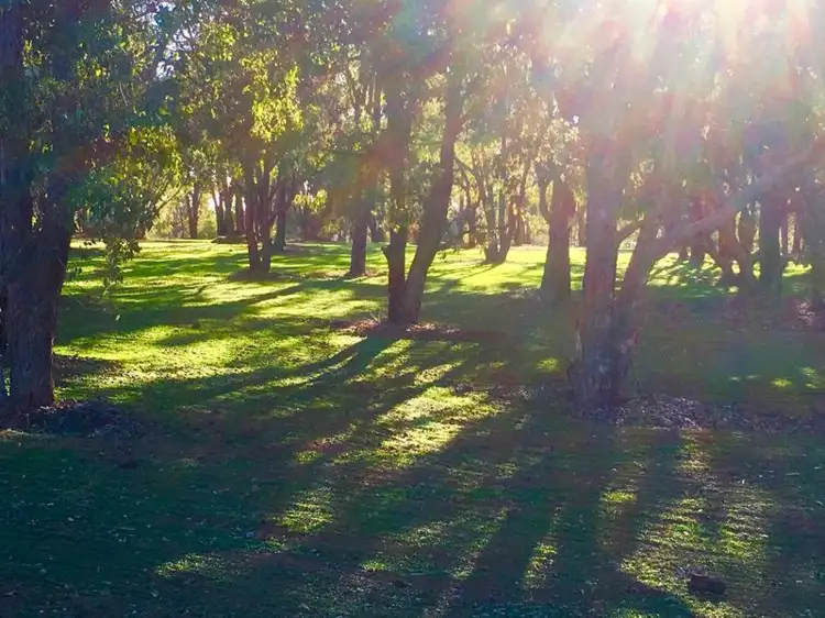 Second view of Homely land listing, 5 Cycad Crescent, Wundowie WA 6560