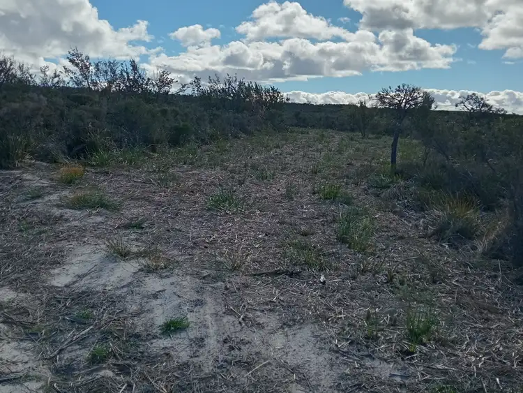 Fourth view of Homely land listing, 41 Long Pool Road, Hopetoun WA 6348