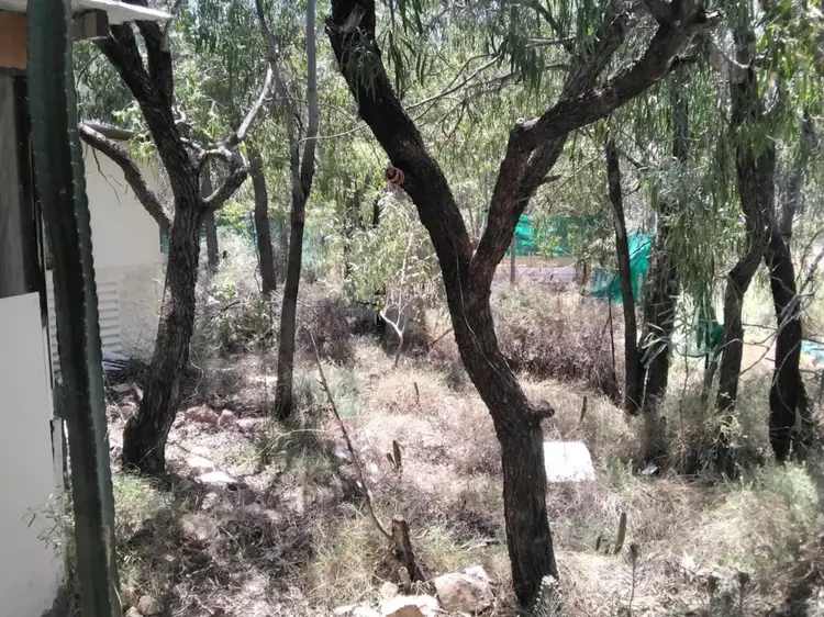 Third view of Homely land listing, Lot 73 Mining Route, Lightning Ridge NSW 2834