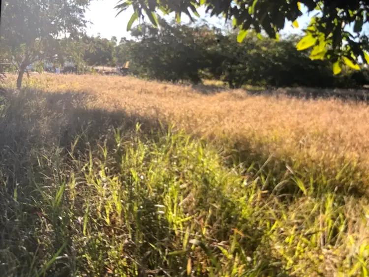 Fifth view of Homely land listing, 34 Torrens Street, Torrens Creek QLD 4816