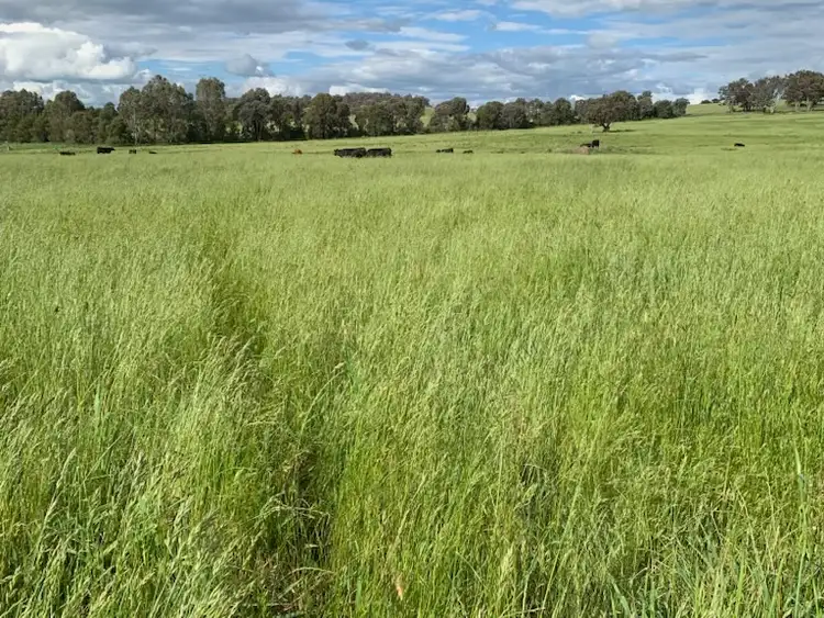 Main view of Homely land listing, 1 Eurimbla Road, Cumnock NSW 2867