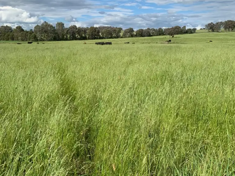 Main view of Homely land listing, 1 Eurimbla Road, Cumnock NSW 2867