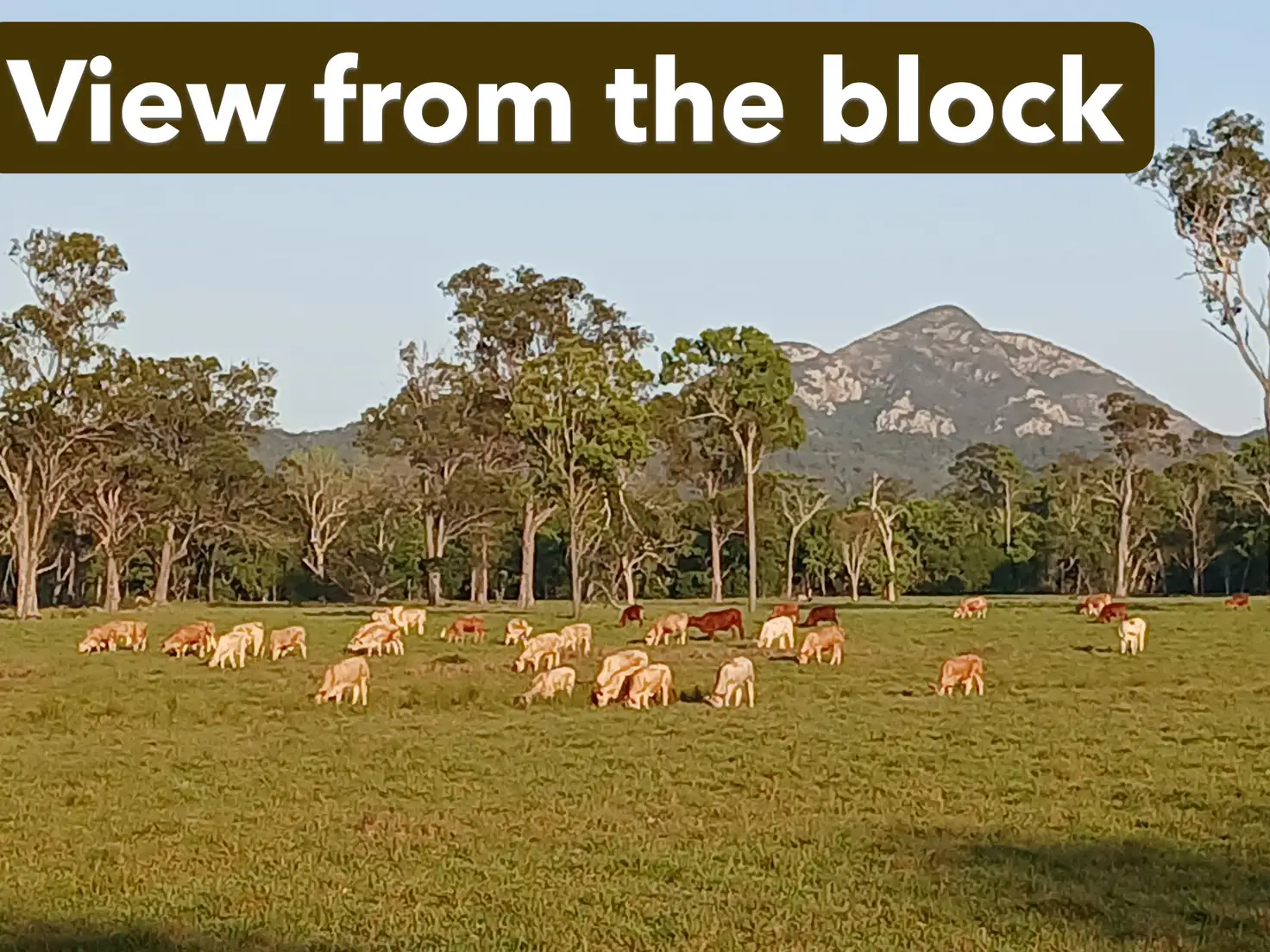 Main view of Homely land listing, 2 Coorooman Creek Road, Coorooman QLD 4702