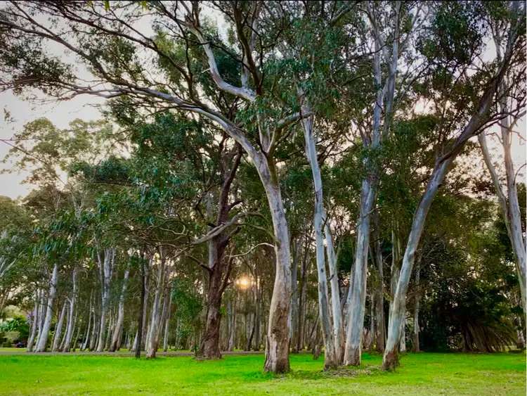 Fifth view of Homely house listing, 158 Lucas Drive, Lamb Island QLD 4184