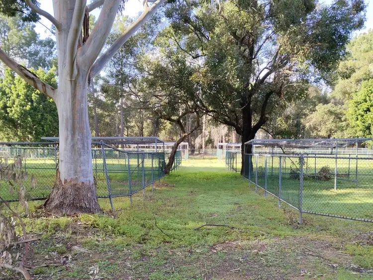 Fifth view of Homely rural property listing, 24 Strapper Road, Bedfordale WA 6112