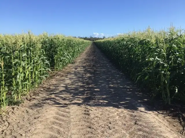 Address available on request