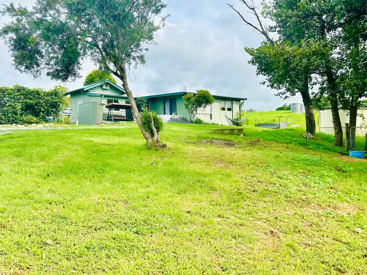 176 Daisy Hill Road, Buckajo NSW 2550