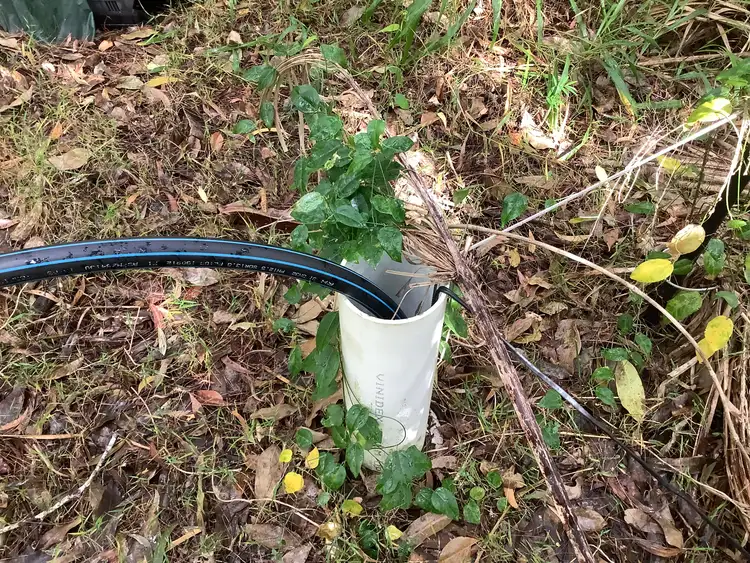 Third view of Homely land listing, 40 Livistonia Drive, Poona QLD 4650