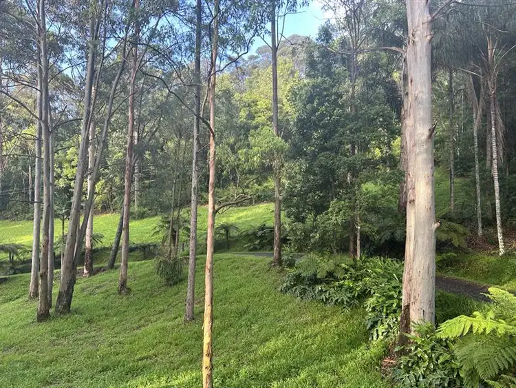 200 Mount Browne Road, Upper Orara NSW 2450