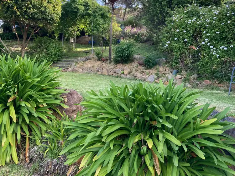 Seventh view of Homely house listing, 131 Mount Cecelia Road, Gooram VIC 3666