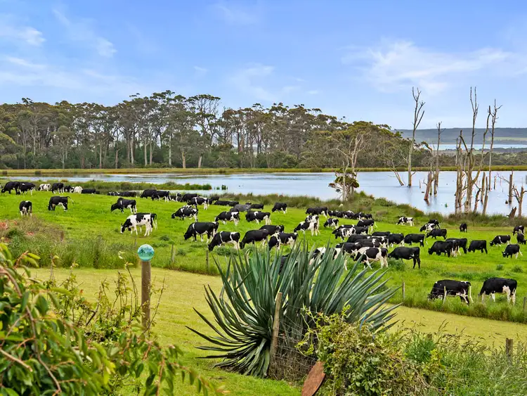 Sixth view of Homely house listing, 520 West Montagu Road, West Montagu TAS 7330