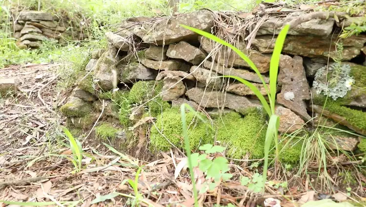 Sixth view of Homely land listing, Address available on request
