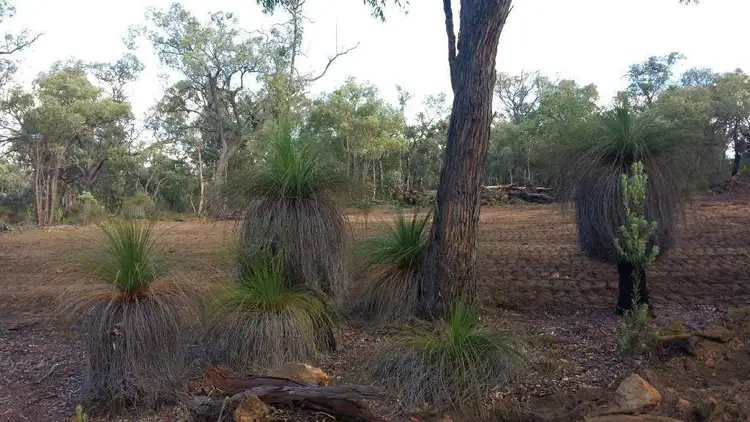 Fourth view of Homely land listing, 75 Sandalford Drive, Chittering WA 6084