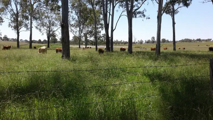 Fifth view of Homely house listing, 127 Koskies Road, Mutdapilly QLD 4307