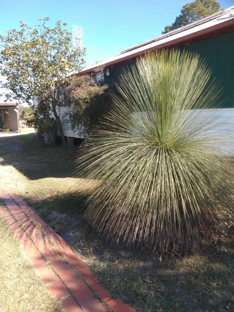Third view of Homely house listing, 33 Middleton street, South Kempsey NSW 2440
