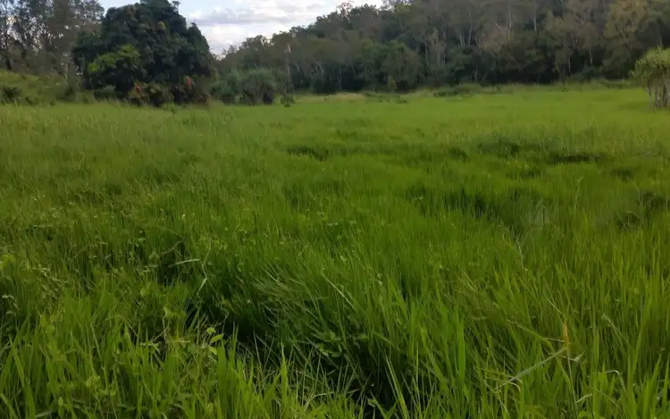 Sixth view of Homely land listing, Lot 8 Bobongies road, Habana QLD 4740