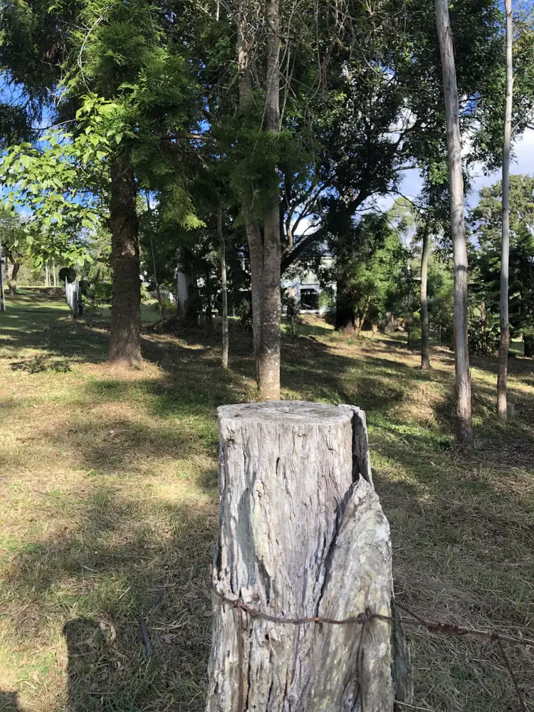 Third view of Homely land listing, 622 Binna Burra Road, Beechmont QLD 4211
