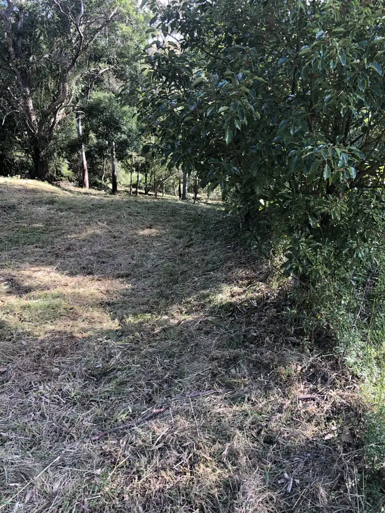 Fourth view of Homely land listing, 622 Binna Burra Road, Beechmont QLD 4211