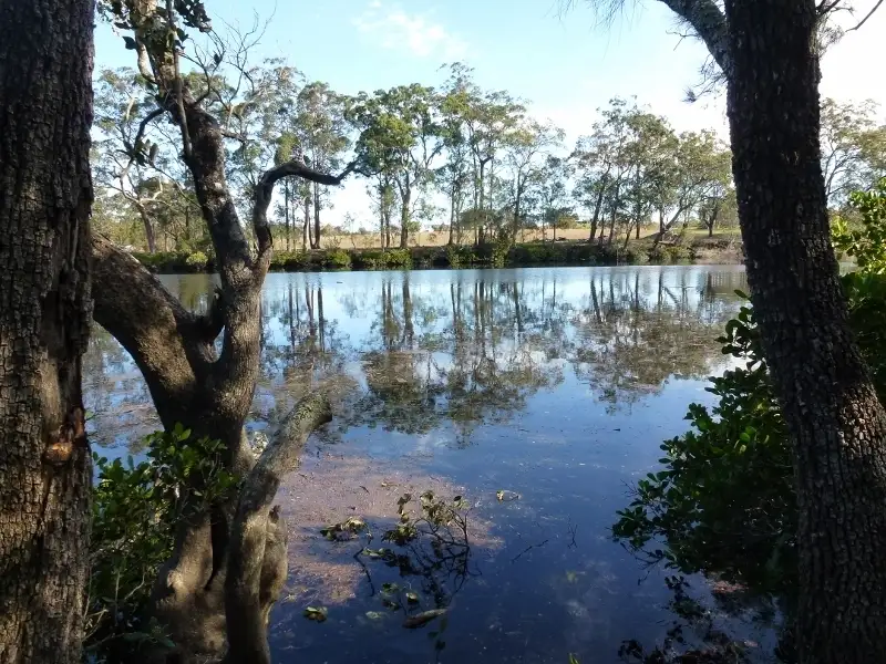 Main view of Homely land listing, Lot 78 Larpent Ave, The Branch NSW 2425