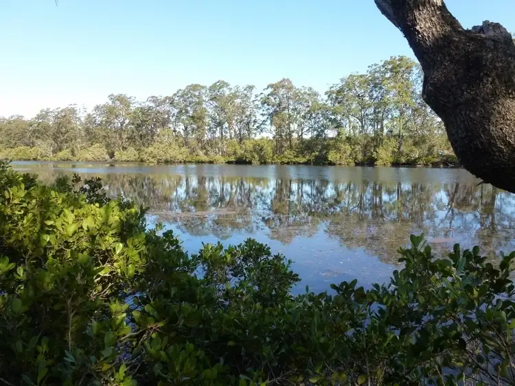 Third view of Homely land listing, Lot 78 Larpent Ave, The Branch NSW 2425