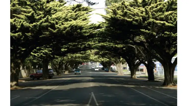 Seventh view of Homely land listing, Lot 101, 36 Elvington Avenue, Cowes VIC 3922
