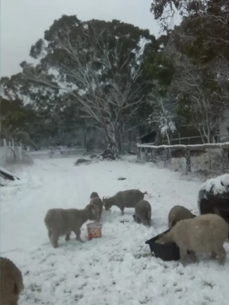 Sixth view of Homely house listing, 215 Knibb Road, Stanthorpe QLD 4380