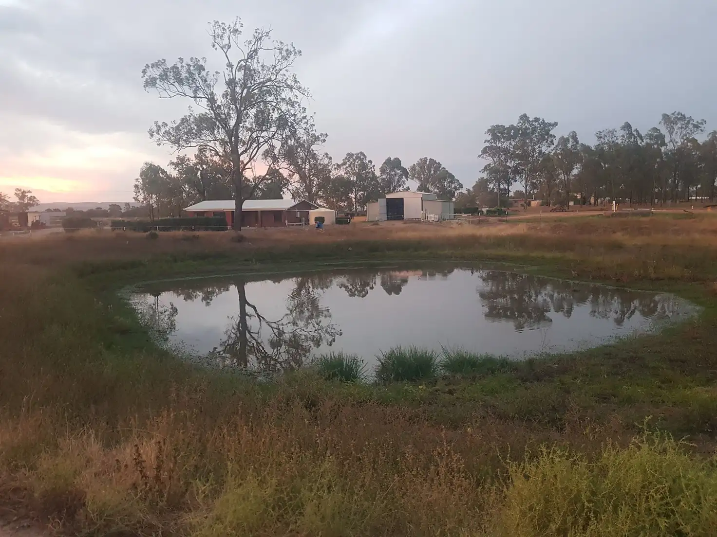 Main view of Homely house listing, 34 Glendene Road, Forest Hill QLD 4342