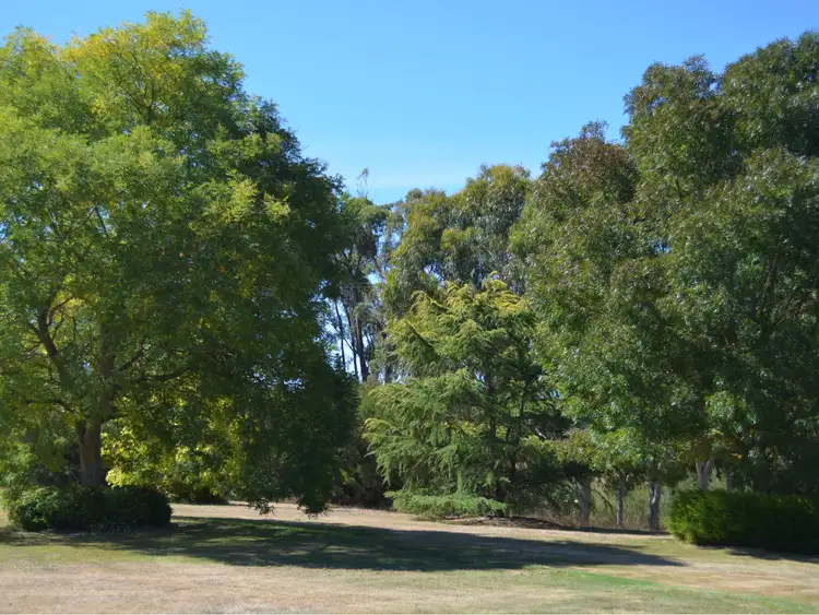Fourth view of Homely house listing, 16 Grams Road, Smythesdale VIC 3351