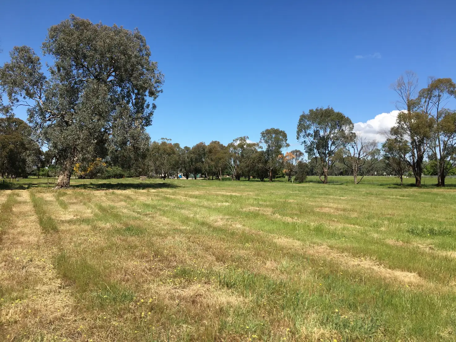 Main view of Homely house listing, 45 Clarkes Lane, Wangaratta VIC 3677