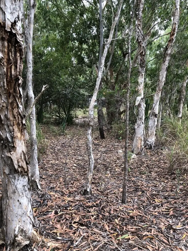 517 West Point Road, West Point QLD 4819