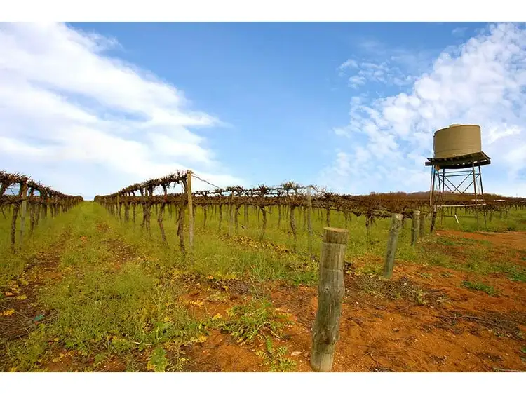 Second view of Homely house listing, Wookata Vineyard 184 Stott Highway, Swan Reach SA 5354