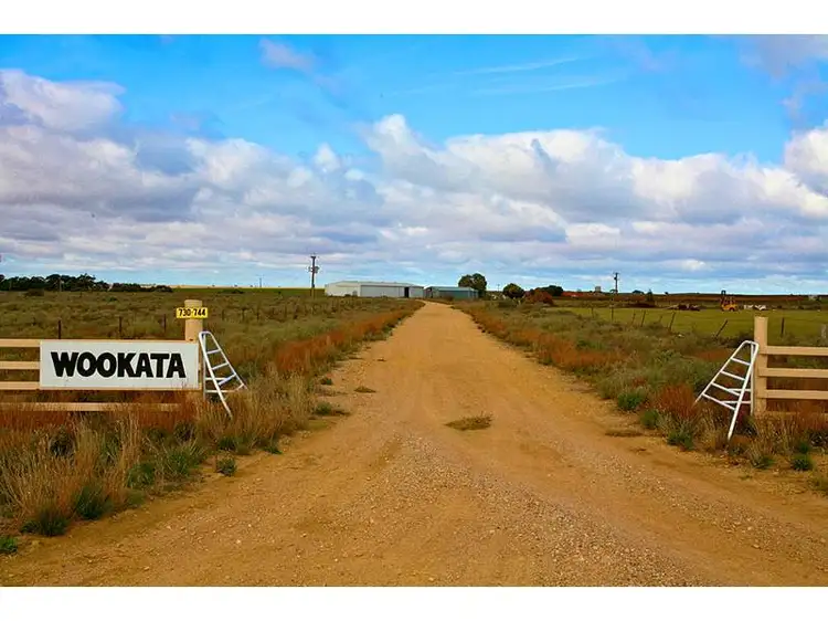 Seventh view of Homely house listing, Wookata Vineyard 184 Stott Highway, Swan Reach SA 5354
