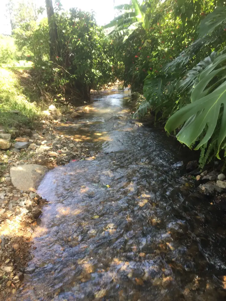 Second view of Homely land listing, 7 Sonnyboy Creek Road, Eungella QLD 4757