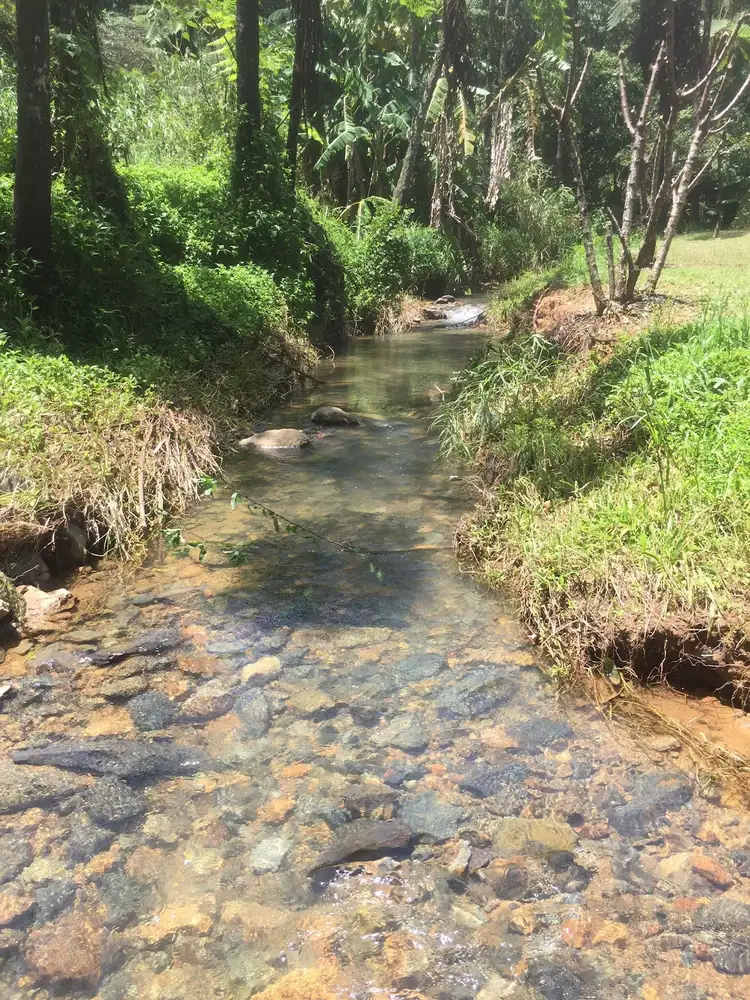 Fourth view of Homely land listing, 7 Sonnyboy Creek Road, Eungella QLD 4757