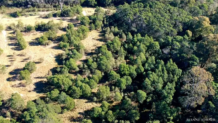 Second view of Homely land listing, Lot 9 Corner Princes Highway & Imlay Road, Narrabarba NSW 2551