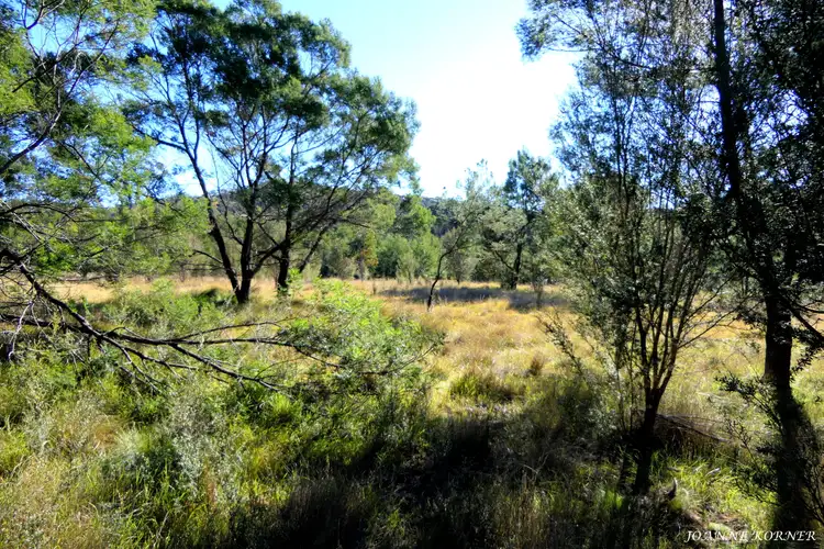 Sixth view of Homely land listing, Lot 9 Corner Princes Highway & Imlay Road, Narrabarba NSW 2551