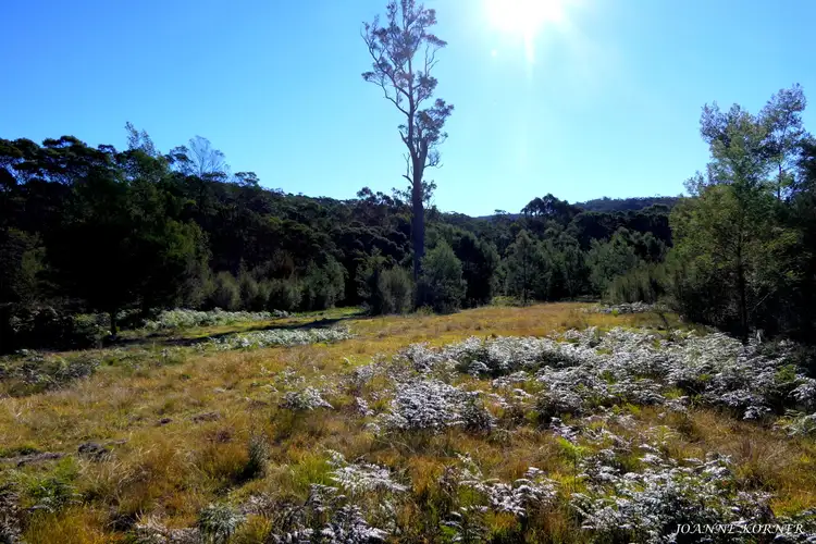 Seventh view of Homely land listing, Lot 9 Corner Princes Highway & Imlay Road, Narrabarba NSW 2551