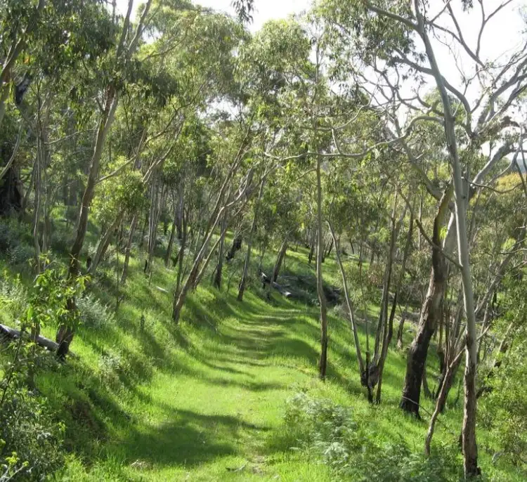 Sixth view of Homely land listing, 761 Greenhill Road, Greenhill SA 5140