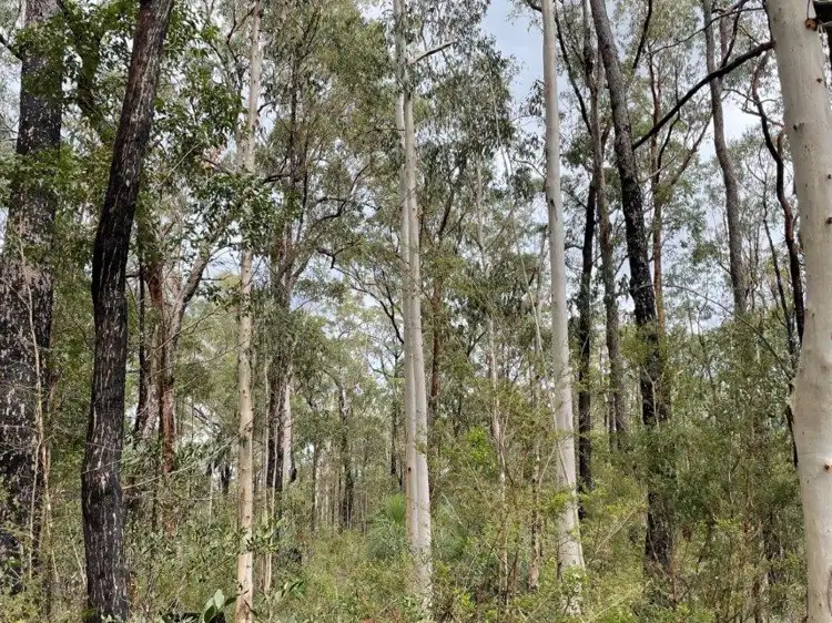 Main view of Homely land listing, 336 Parker Road, Wells Crossing NSW 2460