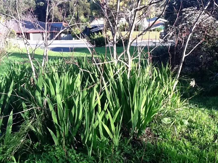 Fifth view of Homely land listing, 75A Murray Road, Port Noarlunga SA 5167