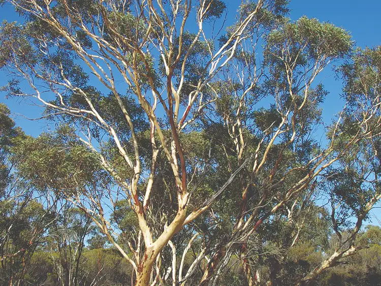 30 Kadnook Street, Edenhope VIC 3318