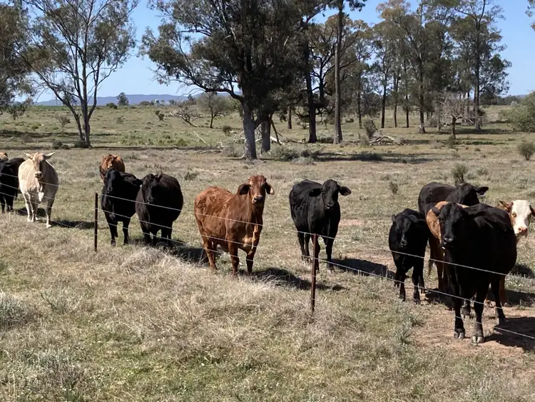 Sixth view of Homely land listing, Emaroo Coolmunda Access, Coolmunda QLD 4387